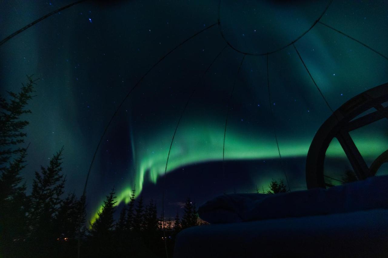 Buubble Hotel - Hrosshagi Selfoss Exterior foto